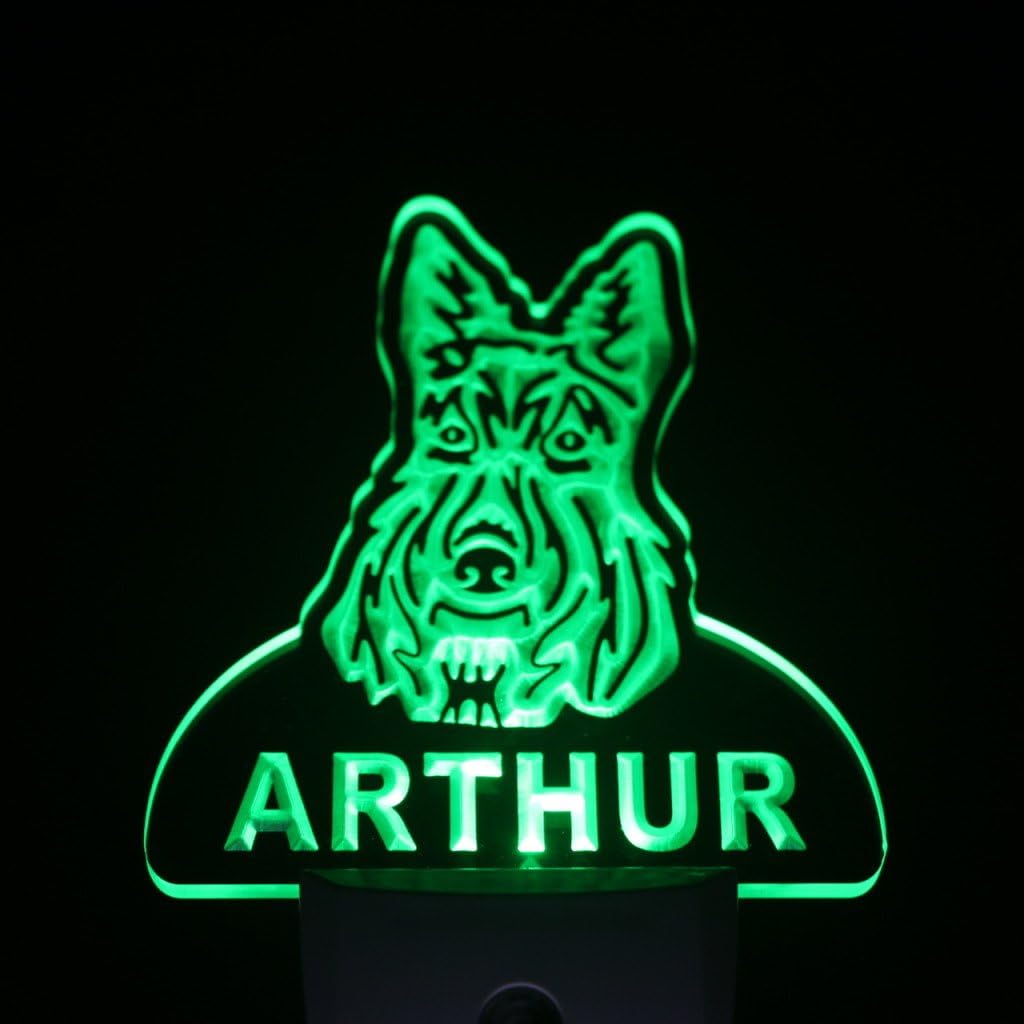 ADVPRO ws1088-tm Scottish Terrier Personalized Night Light Name Day/Night Sensor LED Sign