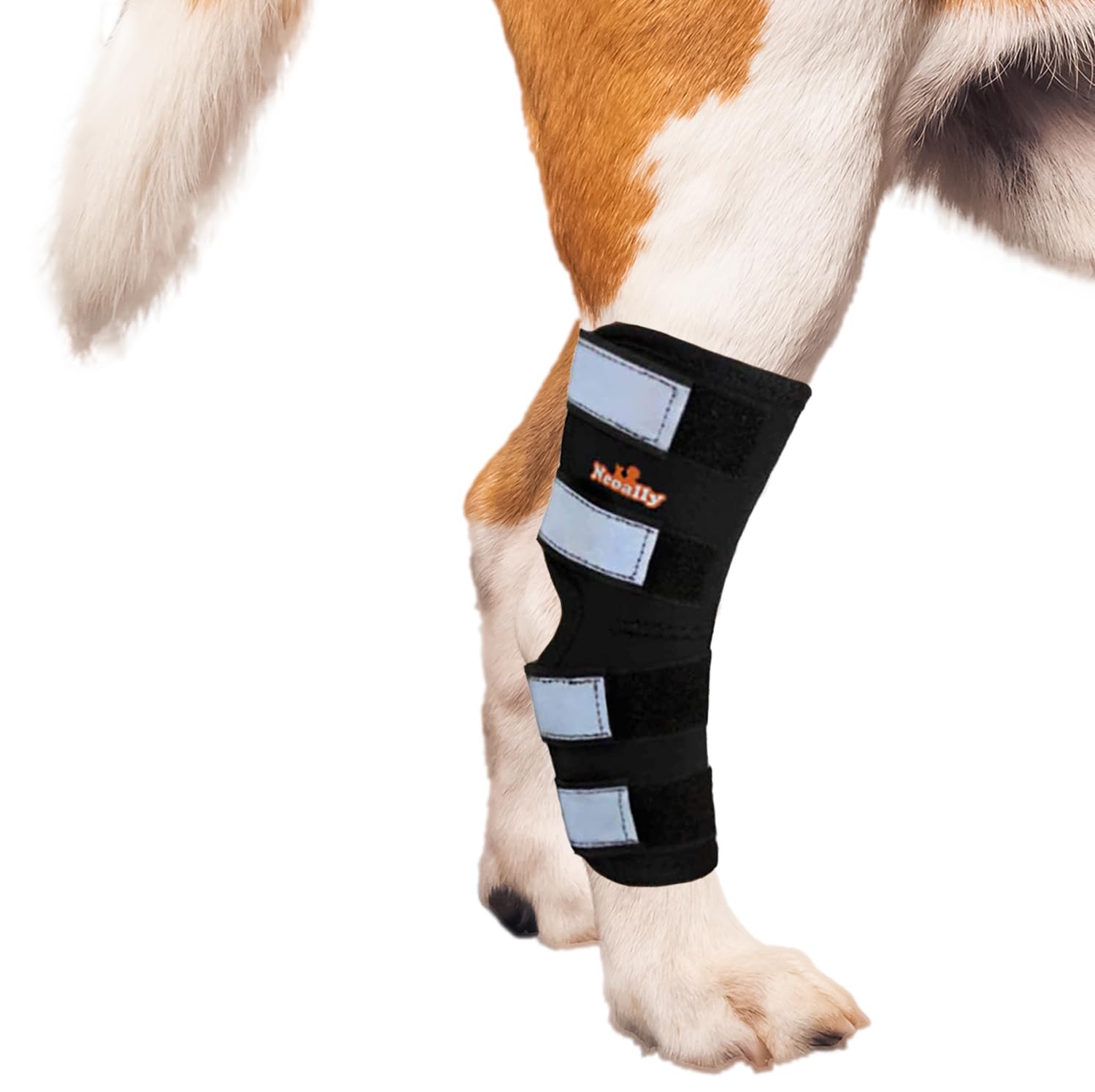 NeoAlly Dog Rear Leg (One Leg) Hock Brace, Canine Leg Wrap for Hind Leg, Ideal Hock & Ankle Support and Protection for Sprain Recovery, Achilles
