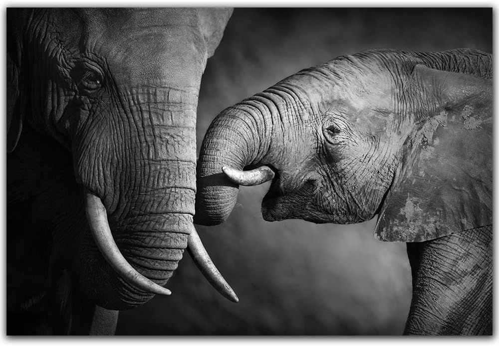 Yumeart Elephant Mother and Baby Animal Black and White