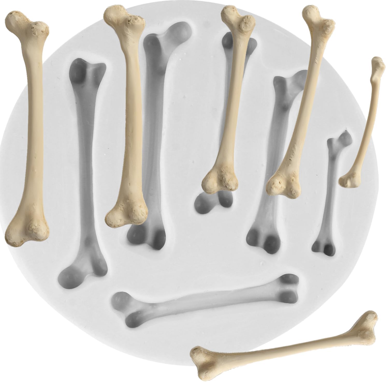 3D Bone Polymer Clay Mold Skeleton Bone Silicone Molds