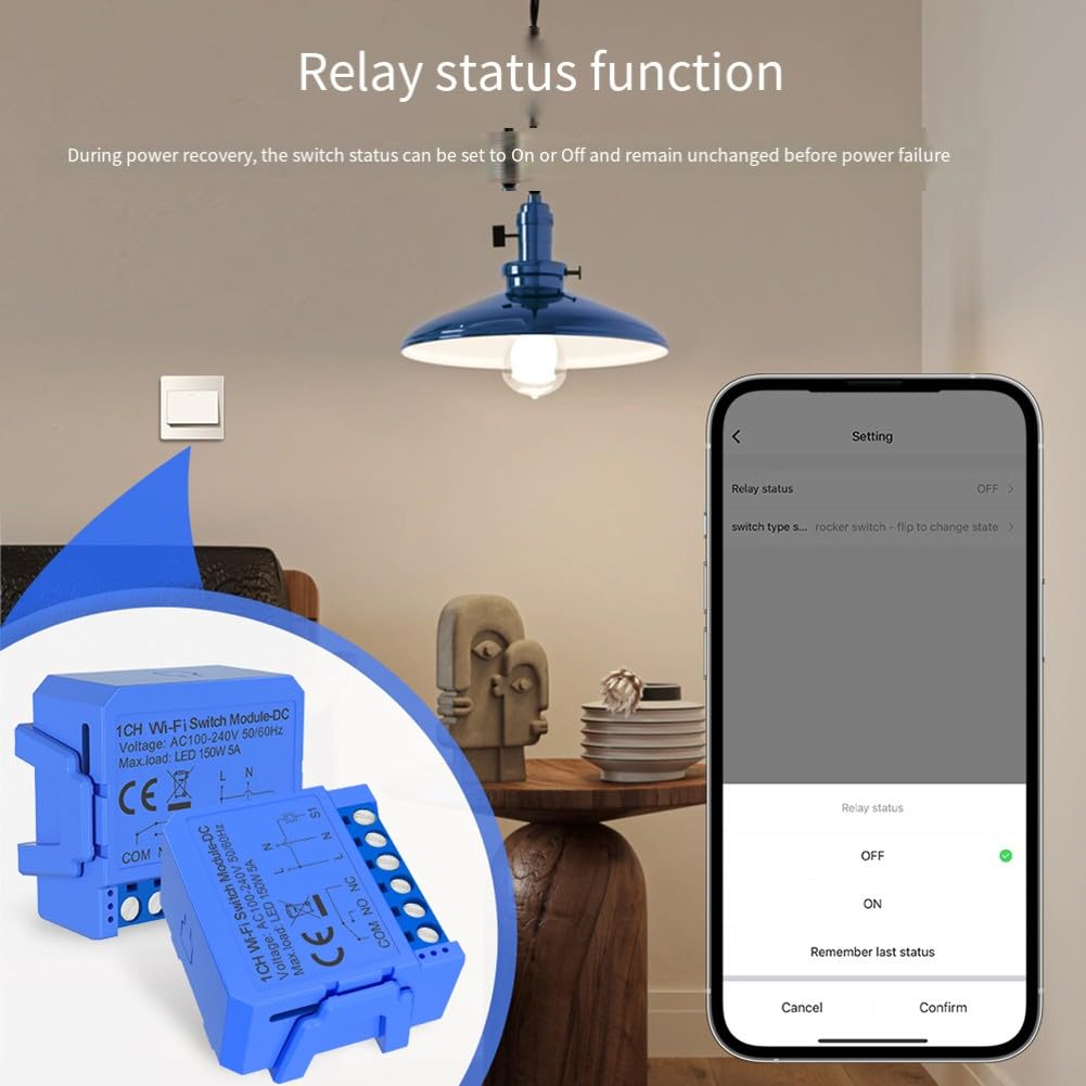 Relé inteligente WiFi de contacto seco, control por voz, temporizador, funciones de programación de cuenta regresiva para Tuya, para control de iluminación, ACS, ventilador de audio (AC110V-240V)