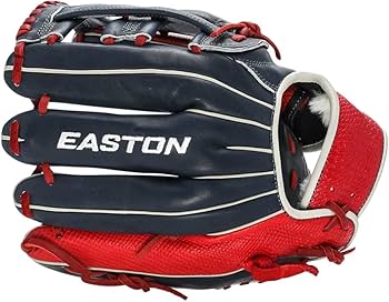 美品　グローブ compass1699513845.jpg