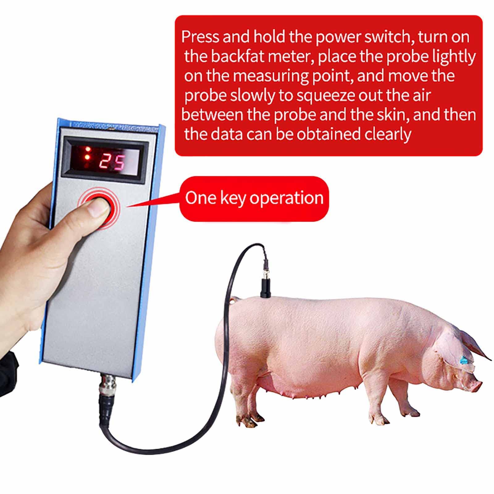 Instrumento de medición de Grasa Dorsal de Cerdo: Herramienta de Prueba de precisión ultrasónica para Resultados precisos con Agente de Acoplamiento y Tres Luces indicadoras