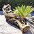 Alpine Corporation 80" Long Indoor/Outdoor Wood River Log Water Fountain with LED Lights, Cascading Natural Water Feature for Gardens, Patios, Yards, and Outdoor Decor, Brown and Gray