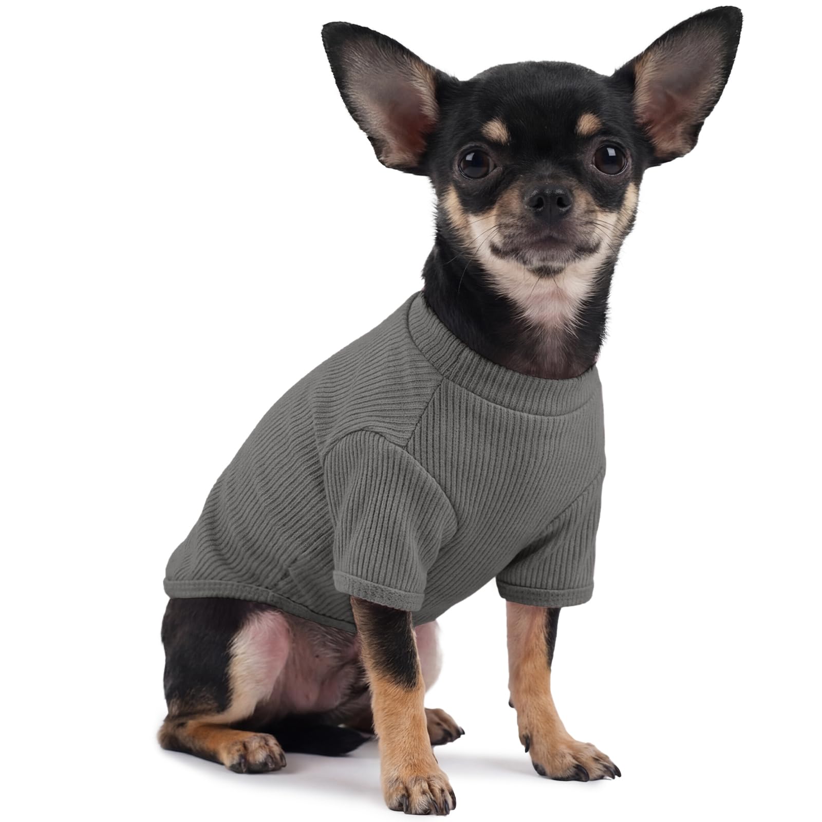 Dog T-Shirt XS, Lightweight Ribbed Stretch Tee for Small Dogs