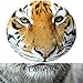 KREATIVE ARTS - Canvas Set of 4 Leopard Tiger Lion Cheetah Picture Print Wall Art Animal Canvas Artwork Stretched Giclee Canvas Printing Hanging Wall Decor Ready to Hang (12''x12''x4pcs/set)