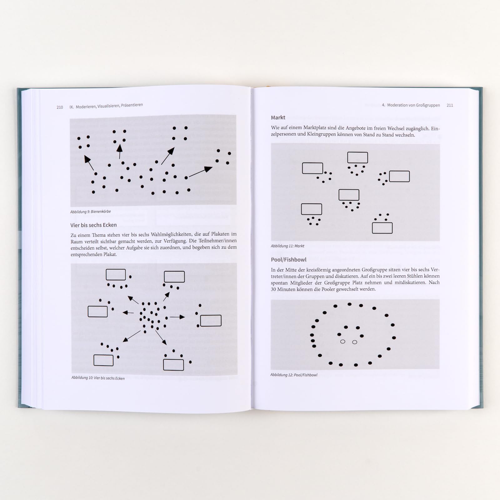 Handbuch Schulentwicklung: Beratung und Begleitung: Mit E-Book inside (Beltz Handbuch)