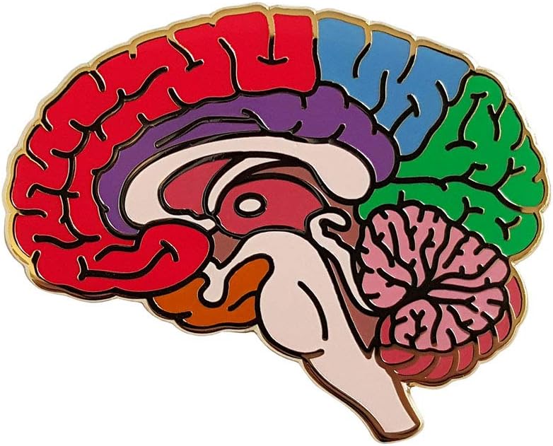Anatomical Structure of Brain Enamel Lapel Pin