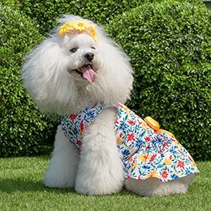 Cutebone dog mesh dress puppy sundress pet outfit summer fashion for small dogs girl cat clothes bf20l   cucciolini doodles