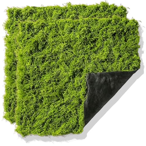 BRGD 2 Piezas 100x100cm Alfombra de Musgo Artificial, Artificial Musgo Artificial Plantas Verdes para Manualidades, Macetas, Patios, Jardines, Acuarios y Paisajismo
