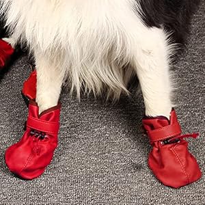YAODHAOD-Dog-Shoes-for-Large-Dogs-Dog-Boots-Paw-Protectors-for-Hot-Pavement-Leather-Anti-Slip-Adjustable-Bootiesfor-Indoor-Hardwood-Floor-Traction-Control-Outdoor-Wlaking-Hikin-Size-8-Red - Cucciolini Doodles   YAODHAOD-Dog-Shoes-for-Large-Dogs-Dog-Boots-Paw-Protectors-for-Hot-Pavement-Leather-Anti-Slip-Adjustable-Bootiesfor-Indoor-Hardwood-Floor-Traction-Control-Outdoor-Wlaking-Hikin-Size-8-Red