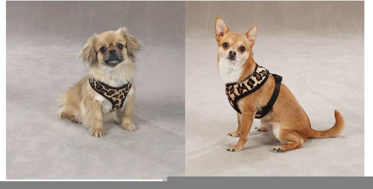 Zack & Zoey Zebra or Leopard Print Soft Plush Dog Harness Durable Reliable Walk Safety(Medium Zebra Print)