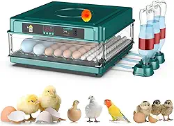 Incubadora Inteligente 72 Ovos, Temperatura Automática 100°F, Viragem Automática, Design com Laterais Transparentes, Material PP+ABS, para Ovos de Aves Variadas. (verde, 110V)