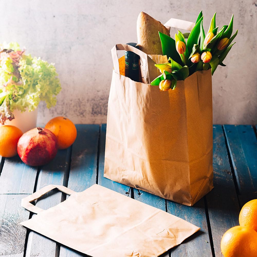 BIOZOYG Bolsas grandes de papel respetuosas del medio ambiente I Bolsas de regalo Bolsas de papel biodegradables, compostables I 250 x bolsas de papel marrón 18 x 8 x 22 cm