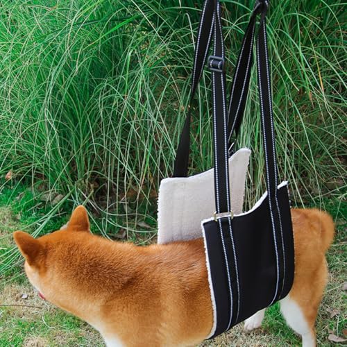 Ziyonix Weiche Hunde Tragehilfe, Mittelgroße und Große Hund Rehabilitation Tragegurt Einstellbare Tragehilfe Treppenhilfe und Unterstützungsgeschirr für Behinderte Verletzte Ältere Hunde (L)