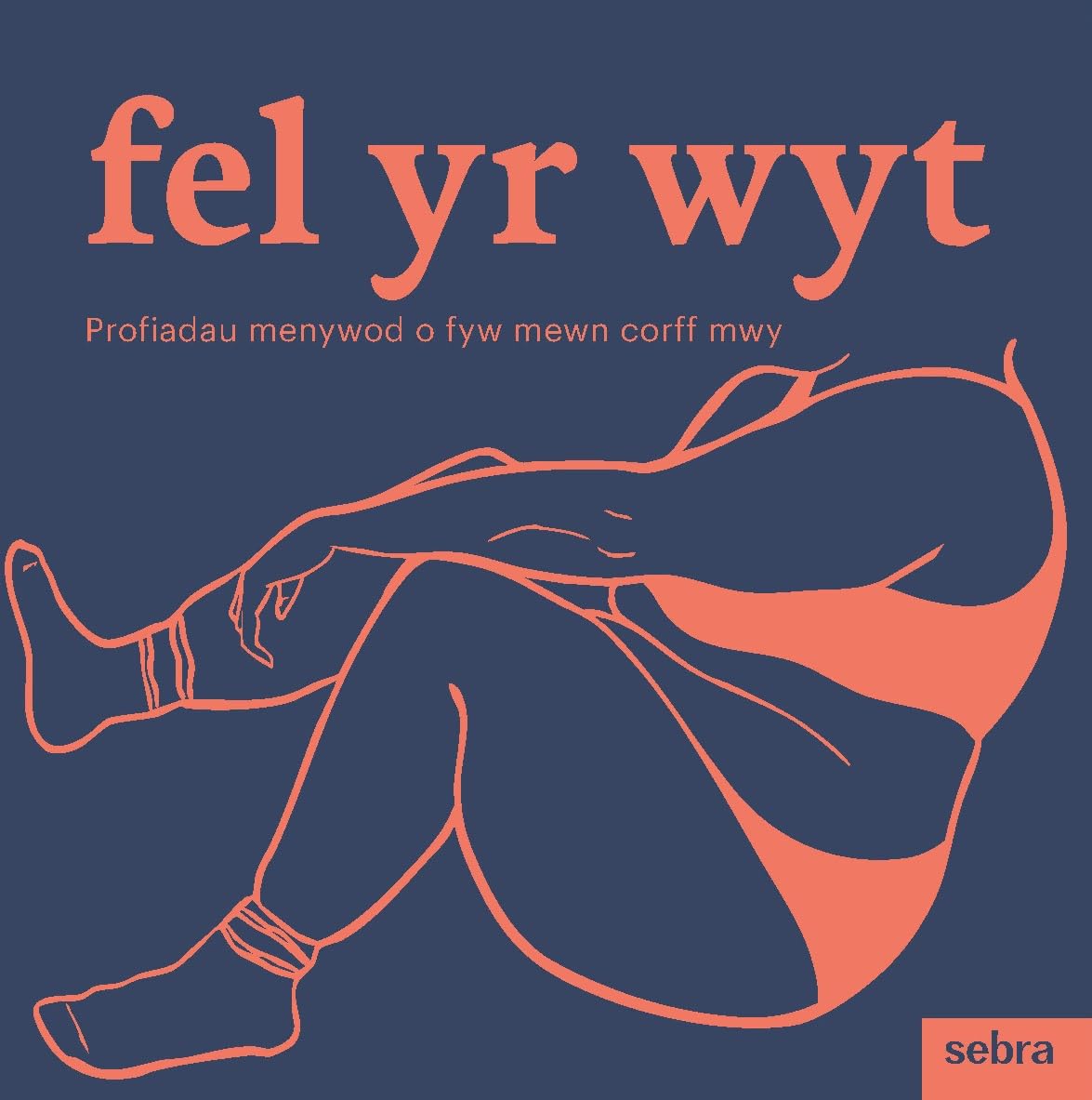 Fel yr Wyt