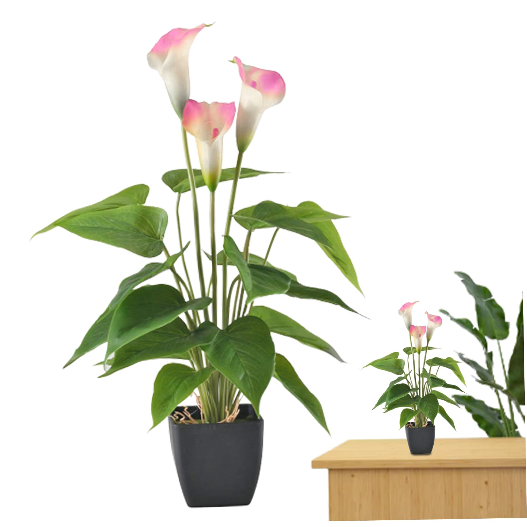 Faux calla lys en pot idéal pour sublimer votre jardin intérieur