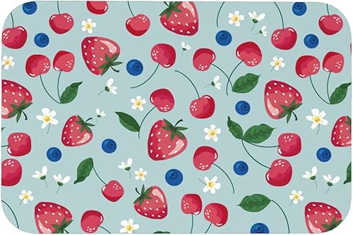 Bath Mats for Bathroom Non Slip Bathroom Rugs for Entryway Rug. Bath Mats for Bathroom Floor Mats, Quick Dry Diatomaceous Earth Bath Mat, Washable