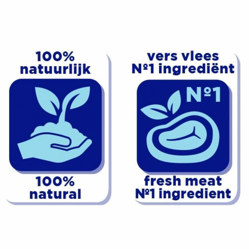 renske – Perros Forro – trockenfutter perro – Senior – Recurvo fresca – sin gluten & libre de cereales – 600 g, hasta 12 kg