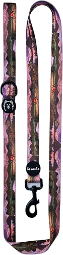 ShawnCo Dream Walk - Correa de nailon para mascotas con mango de neopreno suave para perros pequeños, medianos y grandes (Montana Daydream, S)