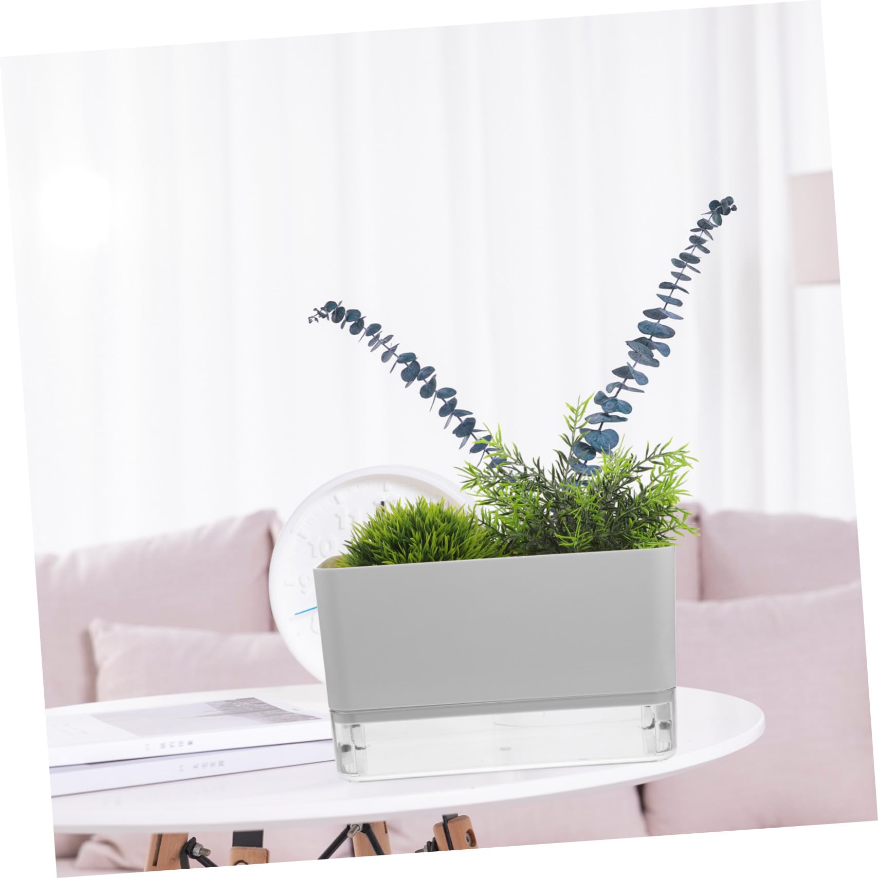 2 Stück Selbstbewässernde Orchideentöpfe Transparent Großformat mit Baumwollseil Bewässerungssystem für Zimmerpflanzen und Sukkulenten