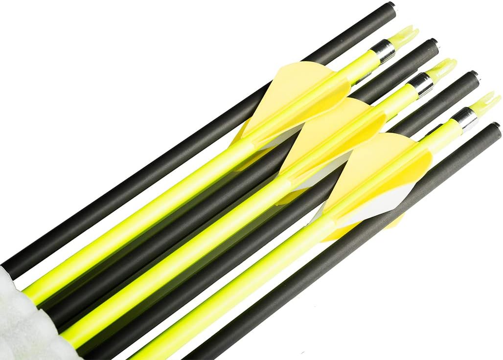 Linkboy Archery Carbon Arrows Hunting Practice Target Arrows 28/29/30/31/32inch Removable Tip for Compound Recurve Long Bows, Spine 250 300 340 400 500 600 700 800 900 1000, Pack of 12PCS