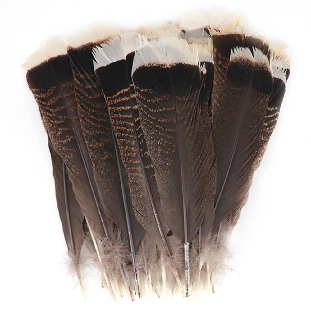 Naturalne pióra bażanta, Zestaw piór orła i indyka, 10 sztuk, naturalny, 25-30 cm