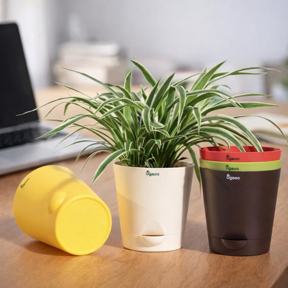 Self Watering Planter Pots for Indoor & Balcony Plants – Set of 5 – Low-Maintenance Gardening Pots India Self Watering Planter Pots for Indoor & Balcony Plants – Set of 5 – Low-Maintenance Gardening Pots India