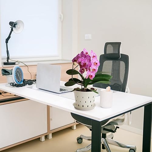 Miniatura 7 de BestAlice Paquete de 5 macetas de orquídeas, macetas de orquídeas de 5.6 pulgadas con agujeros y platillos, macetas de plástico transparente para