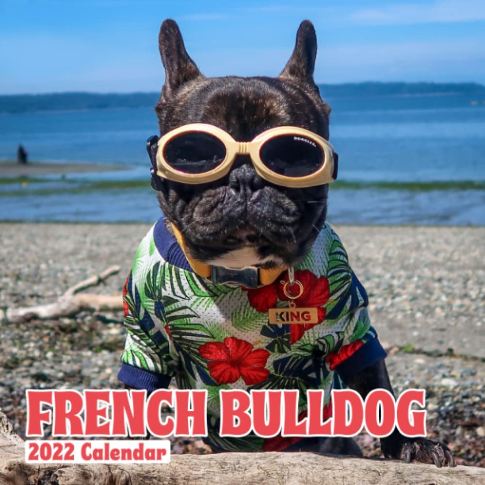 buy-french-bulldog-animals-2022-calendar-animals-calendar-2022