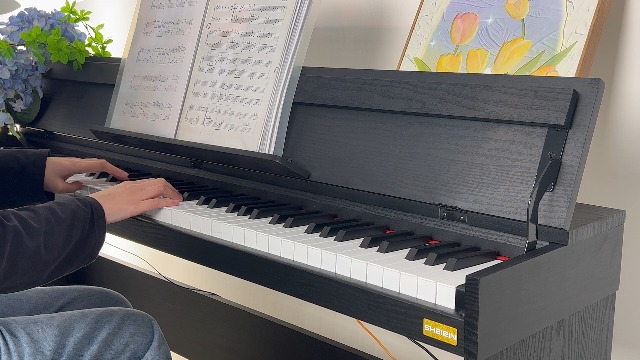 Amazon.com: Sheirin Digital Piano 88 Key Semi-Weighted with Stand