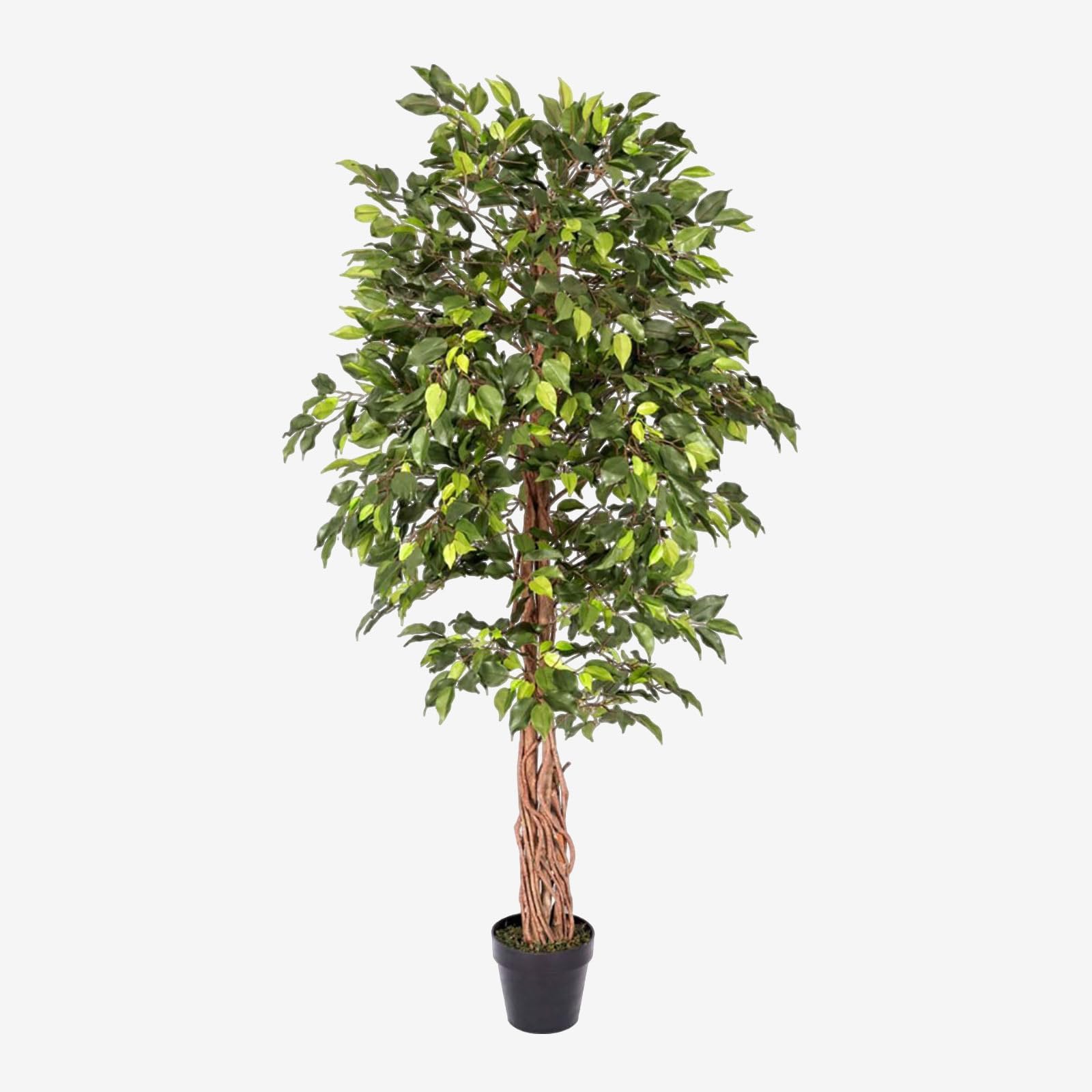6ft Artificial Ficus Tree – Tall Artificial Plant Indoor with Real Wood Trunk & Lifelike Green Leaves Decorative Faux, Fake Plant with Pot for Home, Office, Living Room