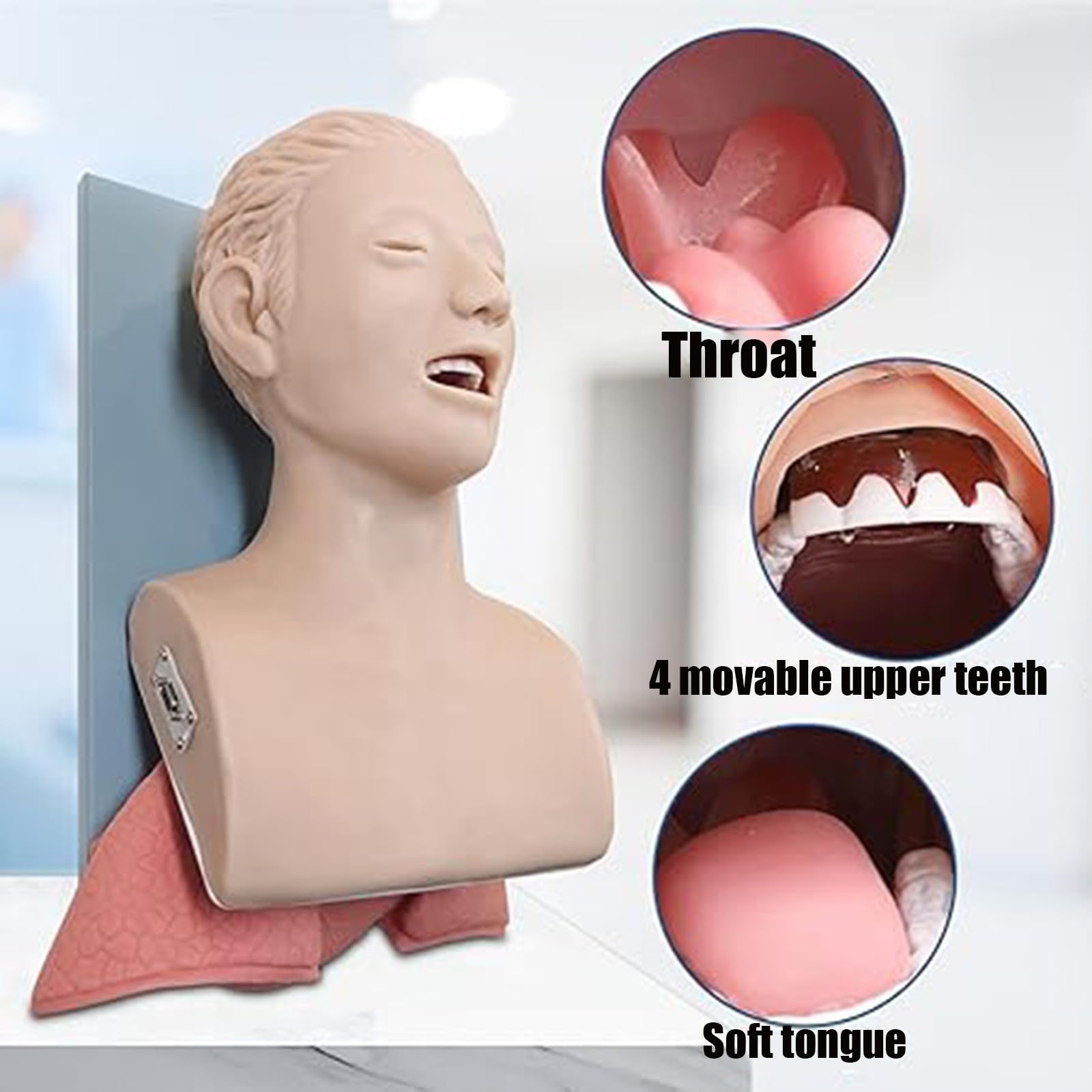 Mannequin d'intubation : Modèle pédagogique pour la formation des adultes à la gestion des voies respiratoires en situation d'urgence A