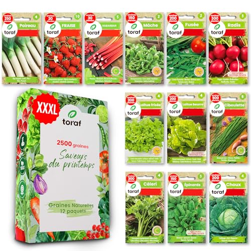 LW TORAF Samen Set XXL 12 Premium variétés de légumes, semences légumes jardin, 2500 graines de plantes, potager, balcon, cuisine, salades, fraise, radis, ciboulette, épinards, roquette, rhubarbe