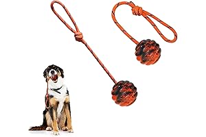 2Pcs Dog Training Ball on Rope Dog Rope Toys for Chew Training