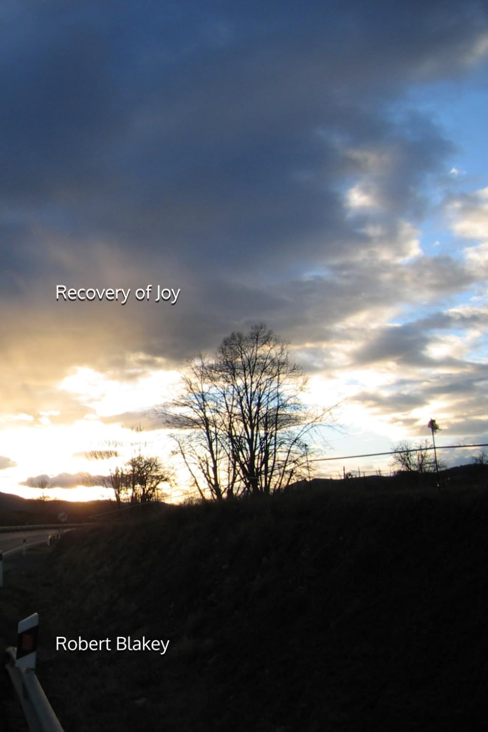 Recovery of Joy: Part 3 (A Pandemic Crossing)