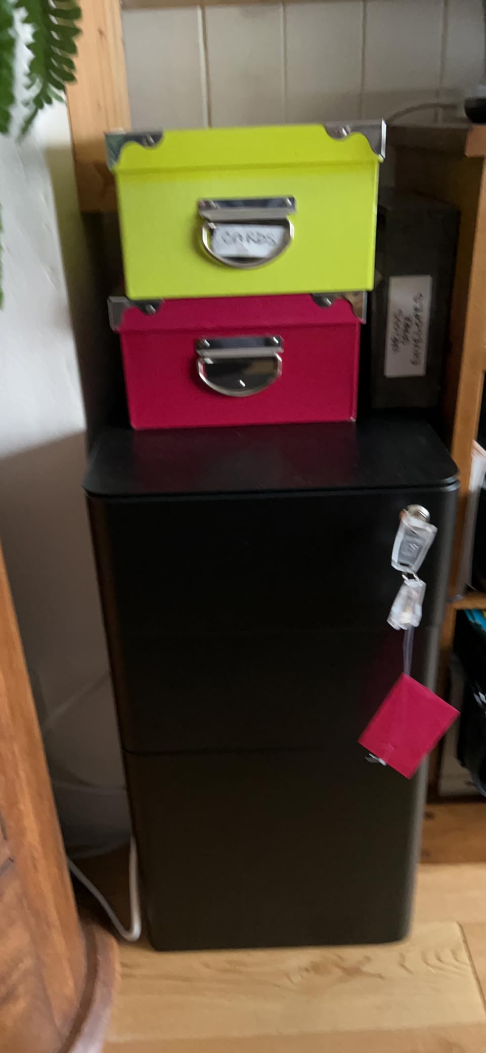 Customer photo