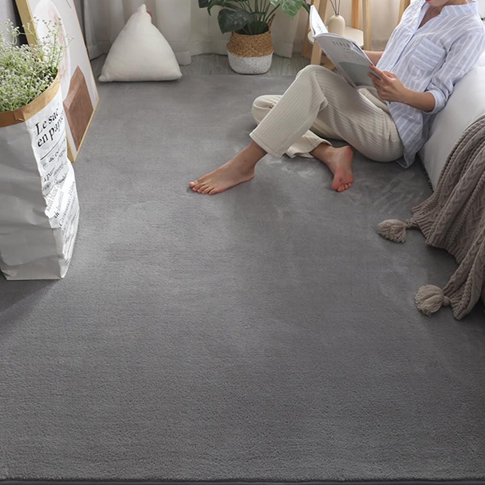 Tapis de salon grande taille gris foncé 180x200 pour chambre douillette