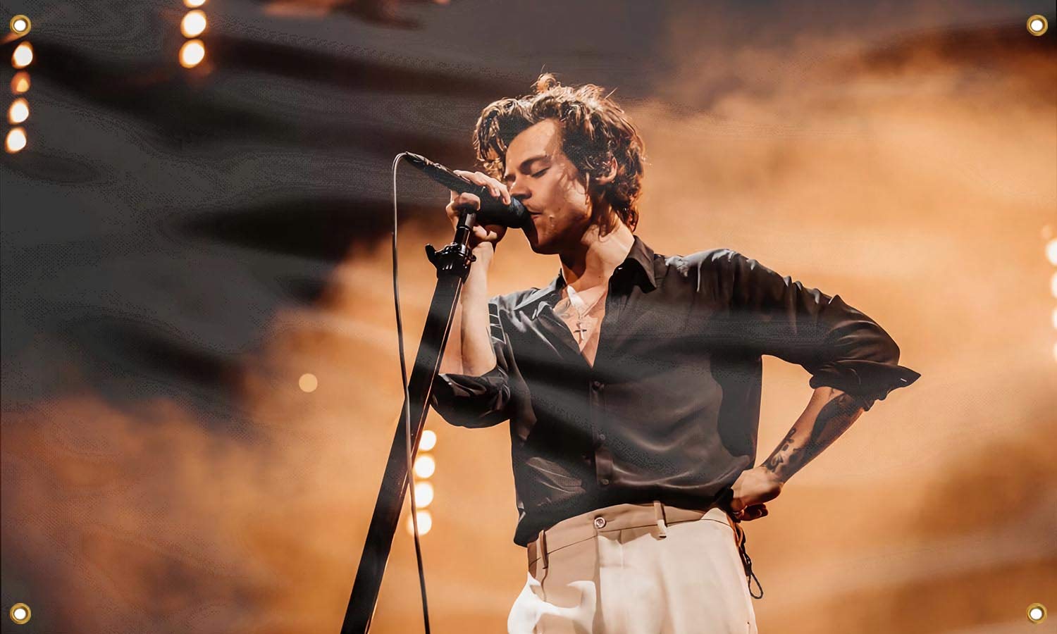 Gormcore Harry Art Styles Banner Flag Music Styles Wall Hanging with Brass Grommets for Bedroom, Living Room, College Dorm, Home Decor 3x5 Ft