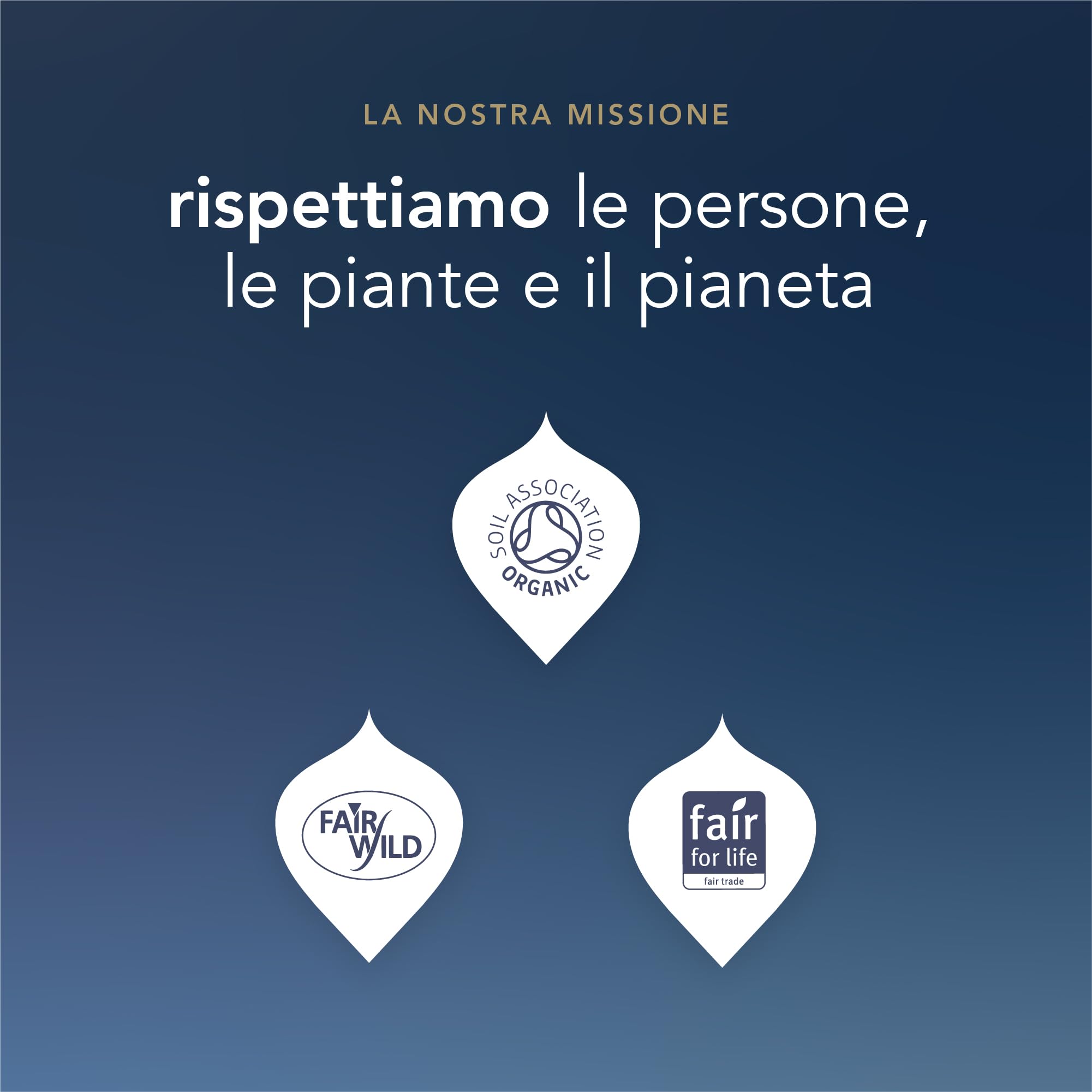Pukka Selection Box Tisane Biologiche Assortite Regalo, 90 Filtri, 6 Gusti