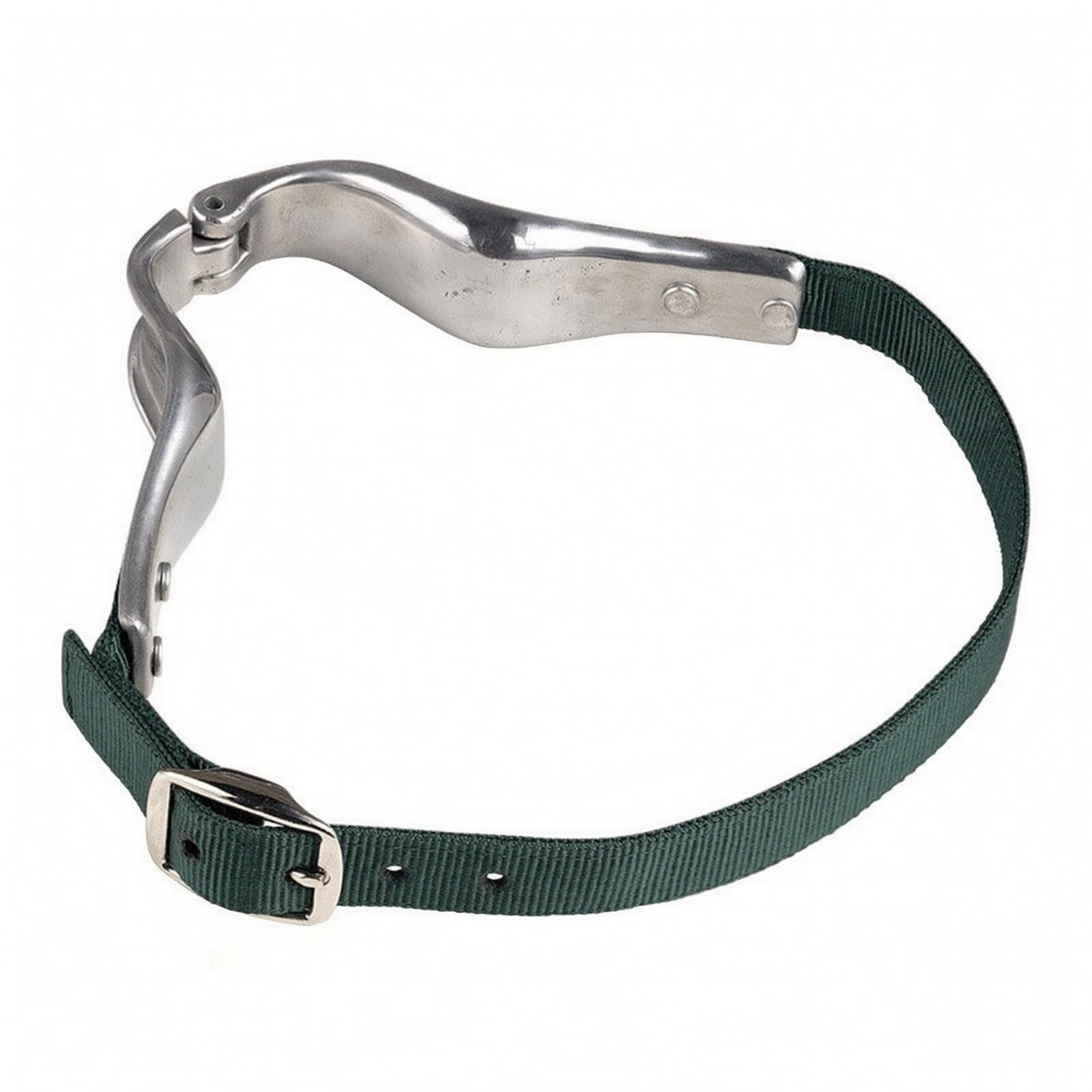 Cinghia con Struttura in Alluminio e Fibbia Pratico Attrezzatura Equestre Resistente All'ura per Gestione Quotidiana del