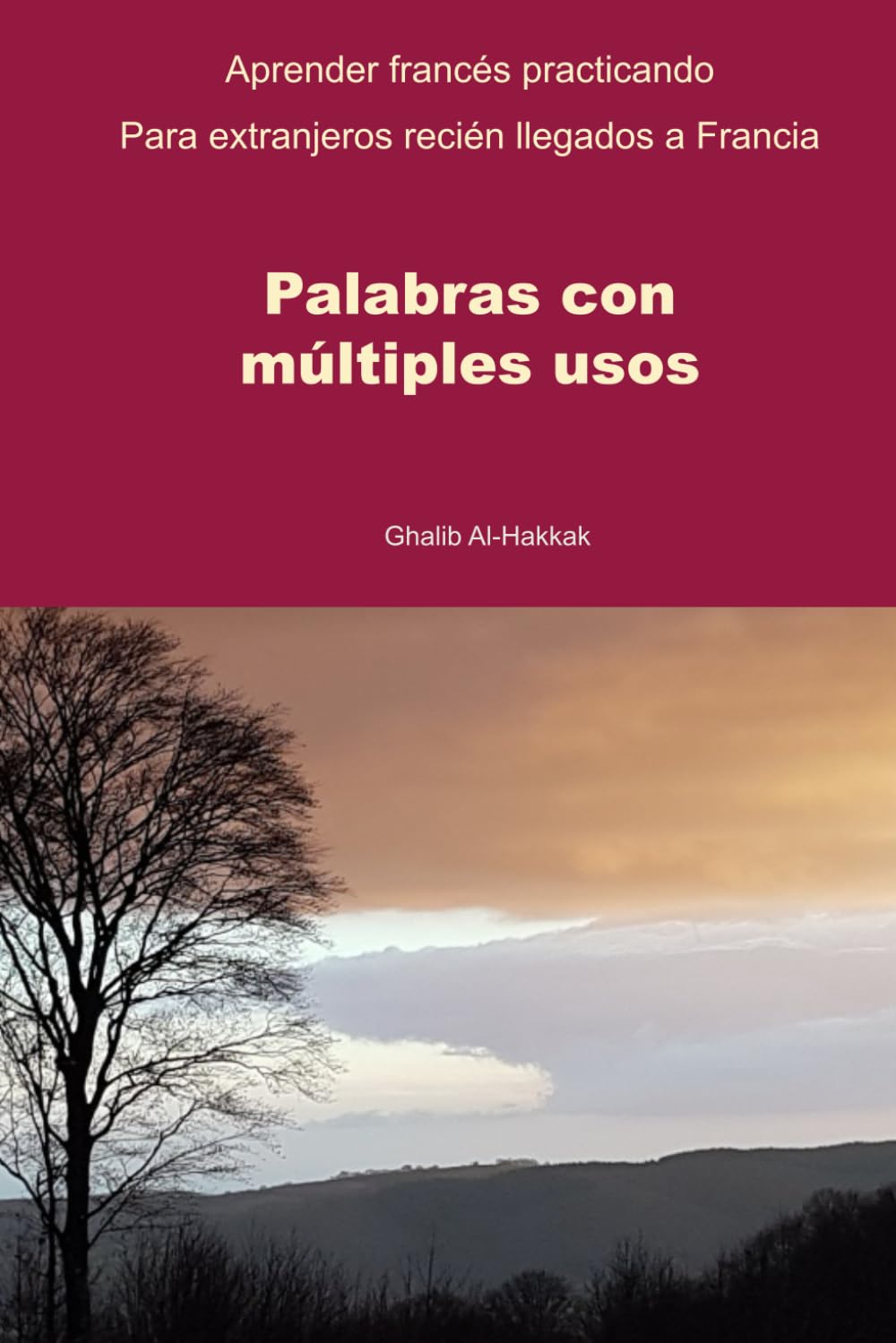 Palabras con múltiples usos: Aprender francés a través de la práctica - Nivel A2-B1