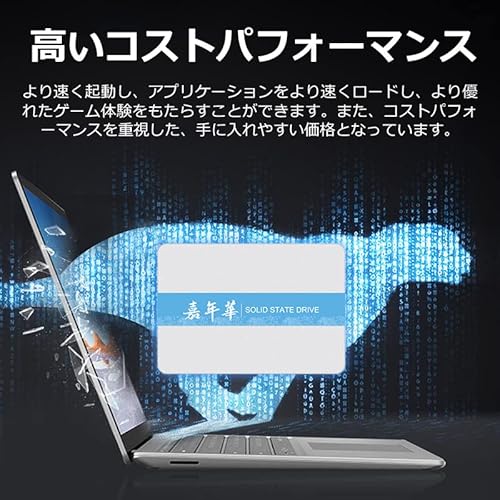 JNH SSD B20 1TB の商品画像 5