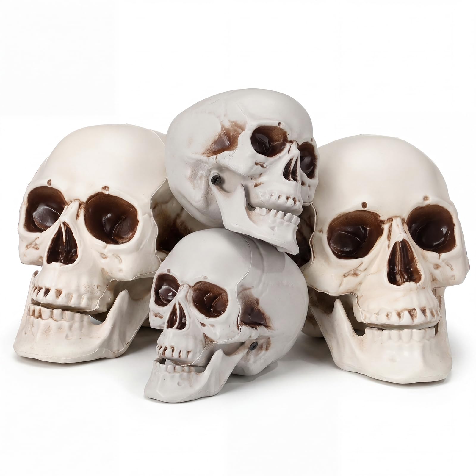Sratte 4 Pcs Halloween Human Skull Model Adult Plastic Skull Decor Fake Head Decorations Realistic Head Bone Model Human Skeleton Statue (8 Inch,5.1 Inch)