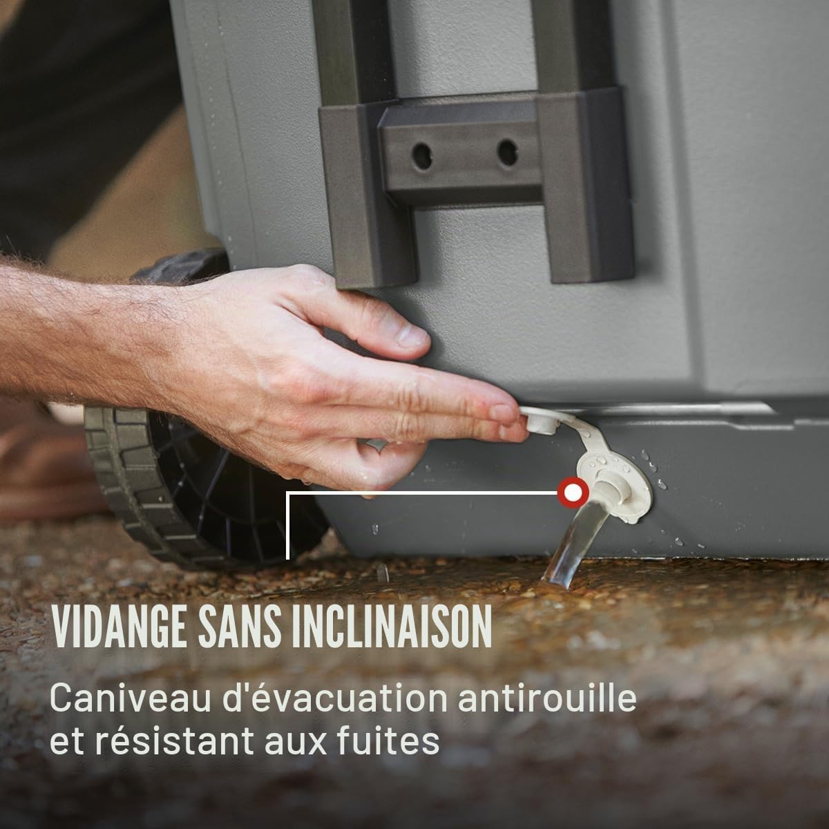 Coleman Série 316 Glacière Portable isolée, étanche et Robuste à roulettes avec capacité de 65 litres, Plus de 100 canettes, idéale pour la Plage, Le hayon, Le Camping et Les événements Sportifs