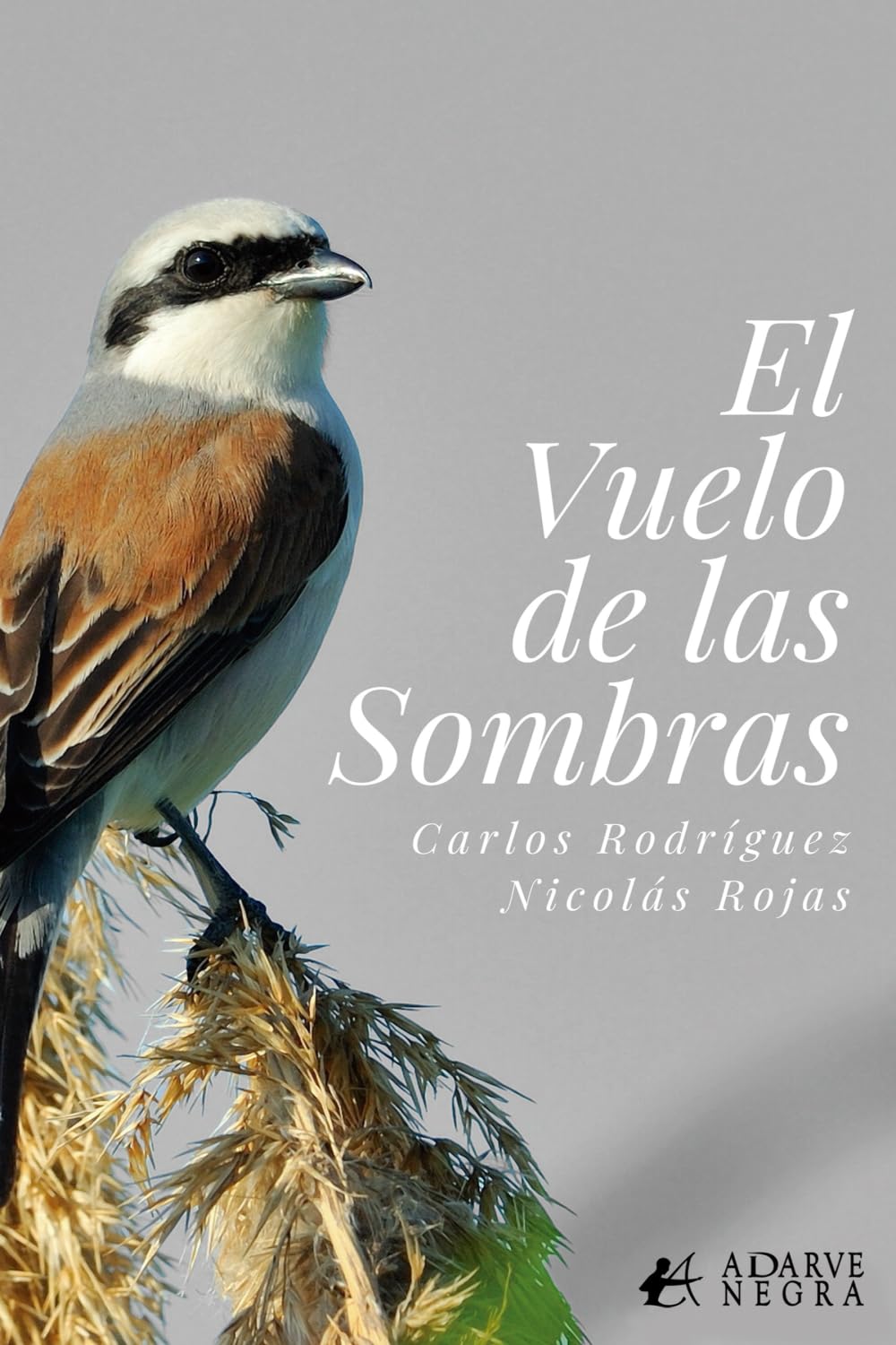 El vuelo de las sombras