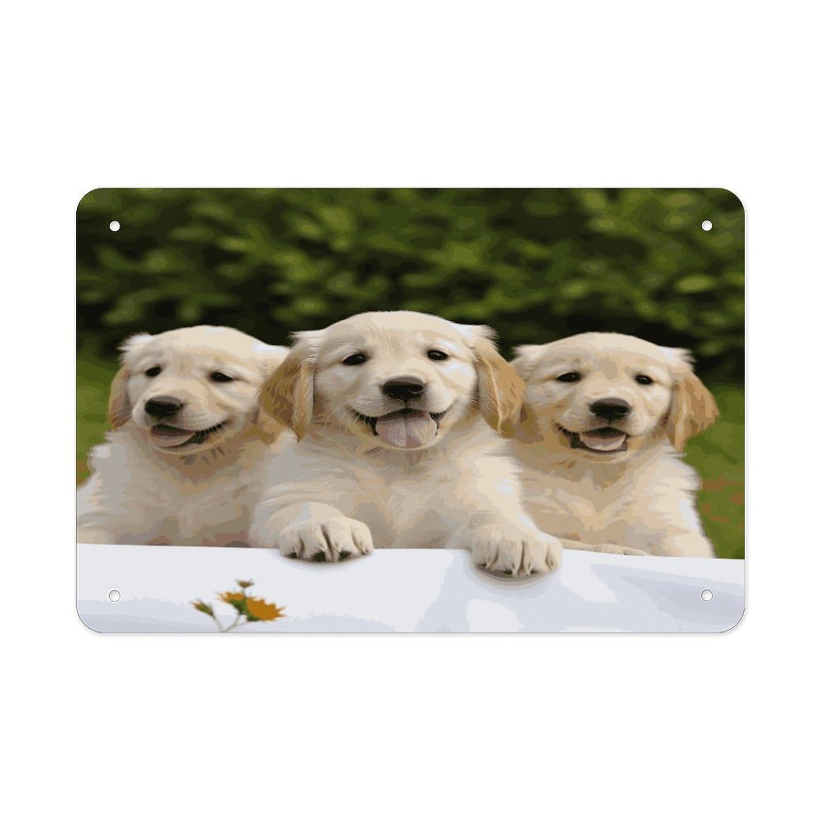 Fekiloot Style Golden Retriever Puppies Metal Signs Wall Art Tin Sign