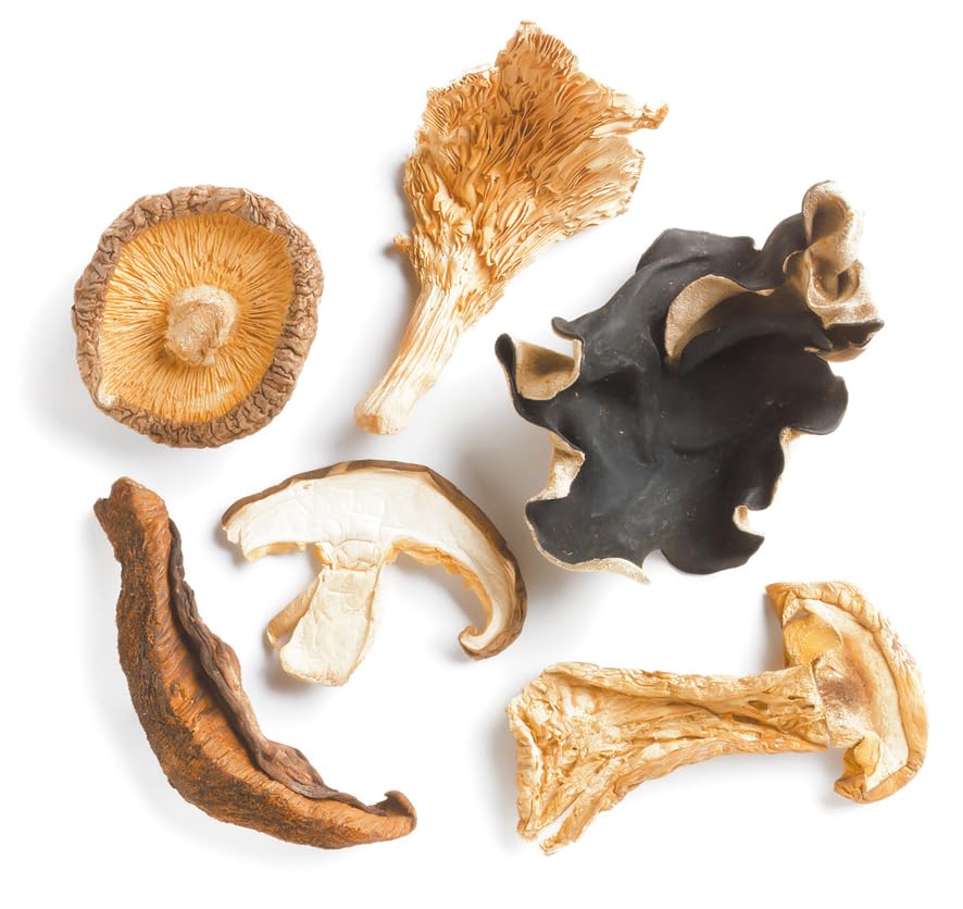 D'Allesandro Forest Blend Dried Mushroom Mix, 1 Pound - Gourmet Shiitake, Porcini, Oyster, Bolete, and Wood Ear Mushrooms