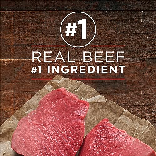 Purina ONE Classic Ground True Instinct Wet Dog Food, Beef & Salmon - 368 g Can (12 Pack) image 8