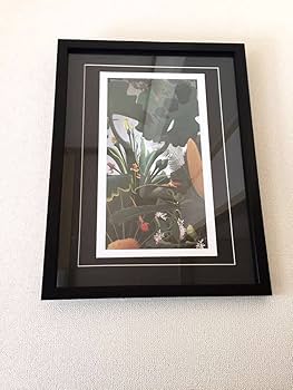 Amazon.co.jp: 田中一村記念美術館製 絵柄3種 奄美の森「不喰芋と蘇鐵